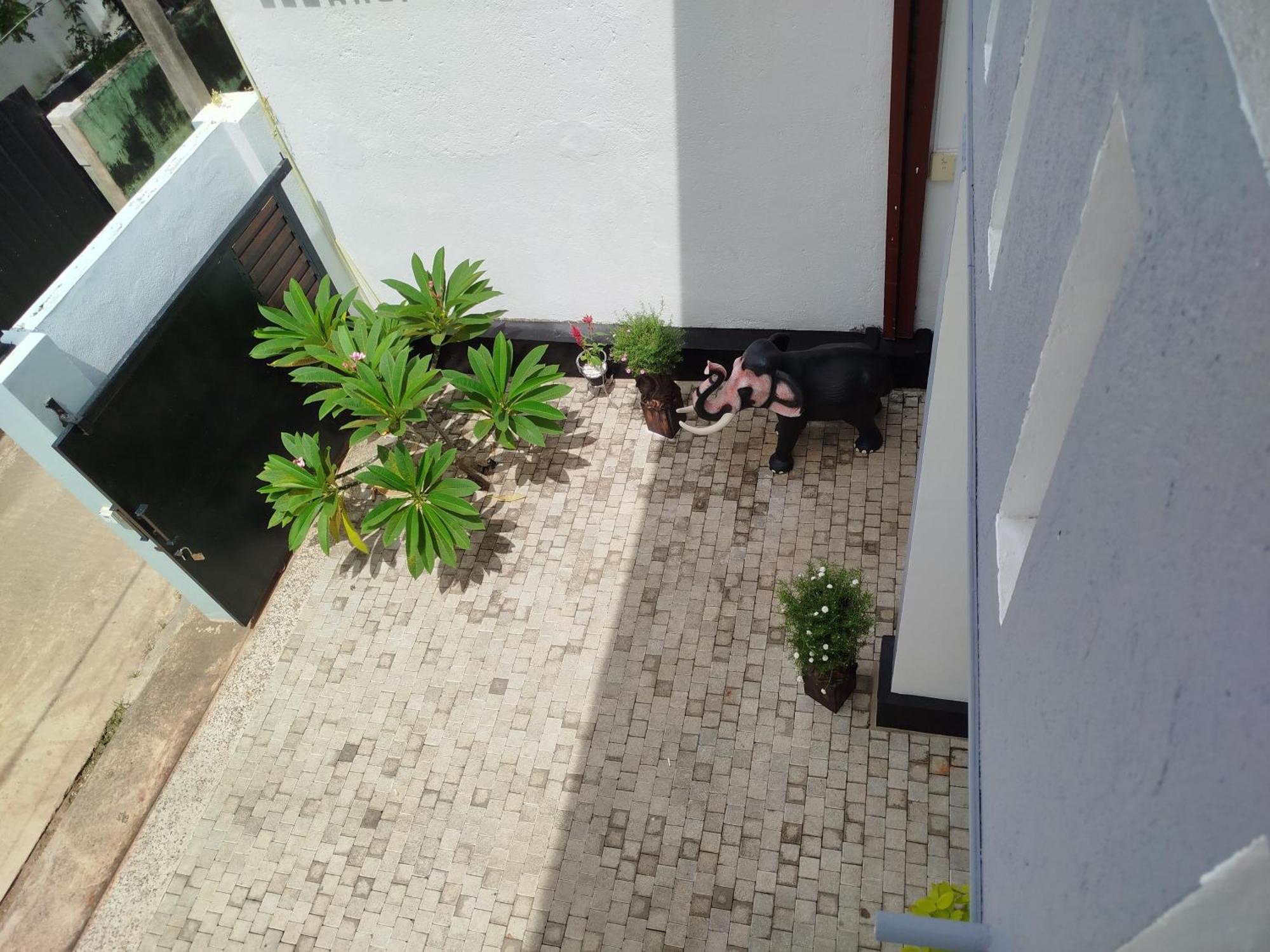 Elzangi Otel Negombo Oda fotoğraf